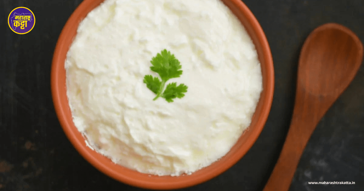 The amazing benefits of eating yogurt for your health! Maharashtra Katta
