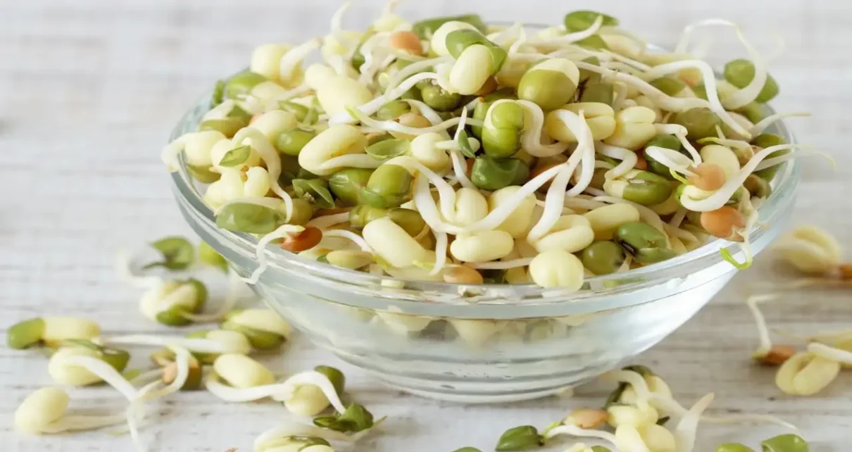 Sprouted Legumes Benefits mk