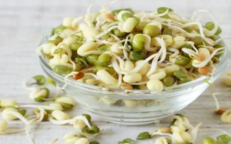 Sprouted Legumes Benefits mk