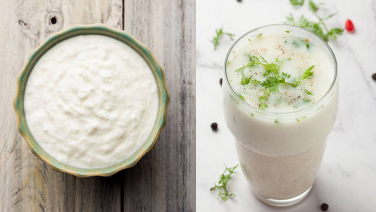 curd-vs-buttermilk-which-is-bettermk5