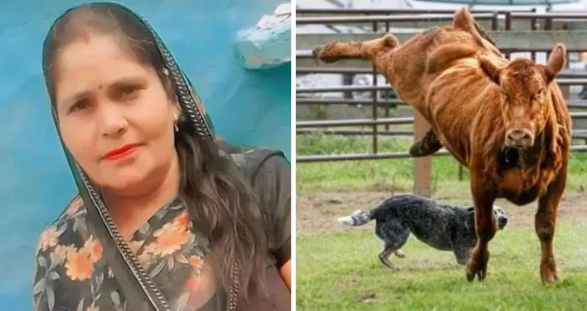 drink cow milk and then died mp news