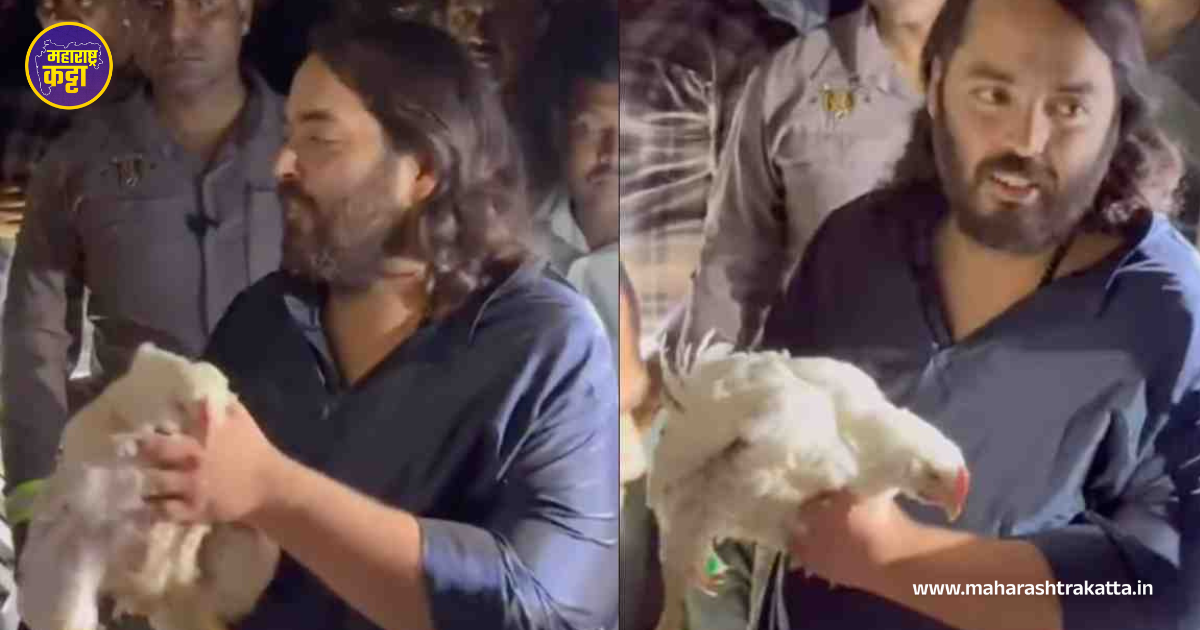 Night walk and chicken purchase -