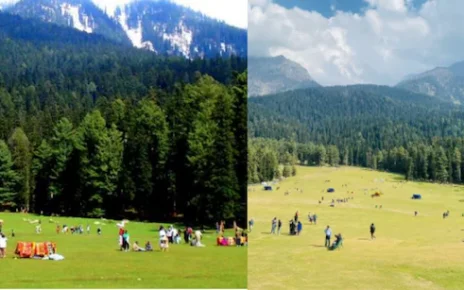 Pahalgam Terror Attack