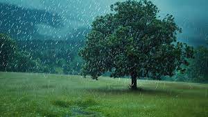  Maharashtra Monsoon 2025